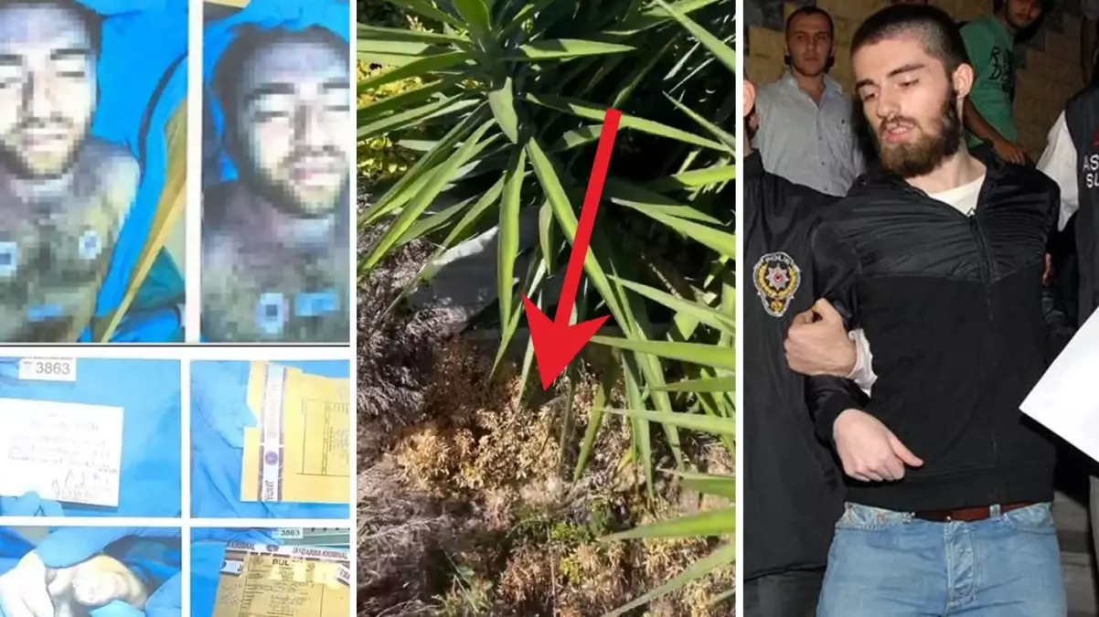 Cem Garipoğlu’nun Mezarı Açıldı: DNA Örnekleri Alındı ve Fethi Kabir Tamamlandı! 3 Ekim’in Sırrı Ne?