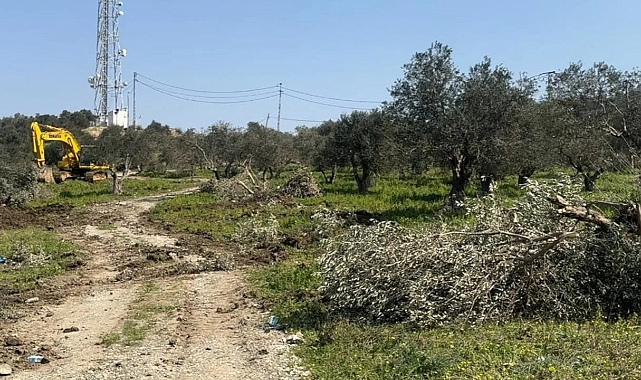 Hatay da Skandal UygulamaTapulu Araziler Kamulaştırılıyor.