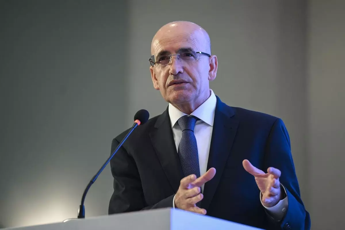 Hazine ve Maliye Bakanı Mehmet Şimşek, Mali Suçları Araştırma