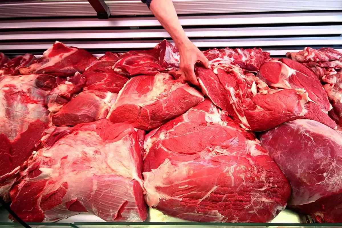 At ve eşek eti yediren firma Gaziantep Büyükşehir Belediyesine yemek vermiş