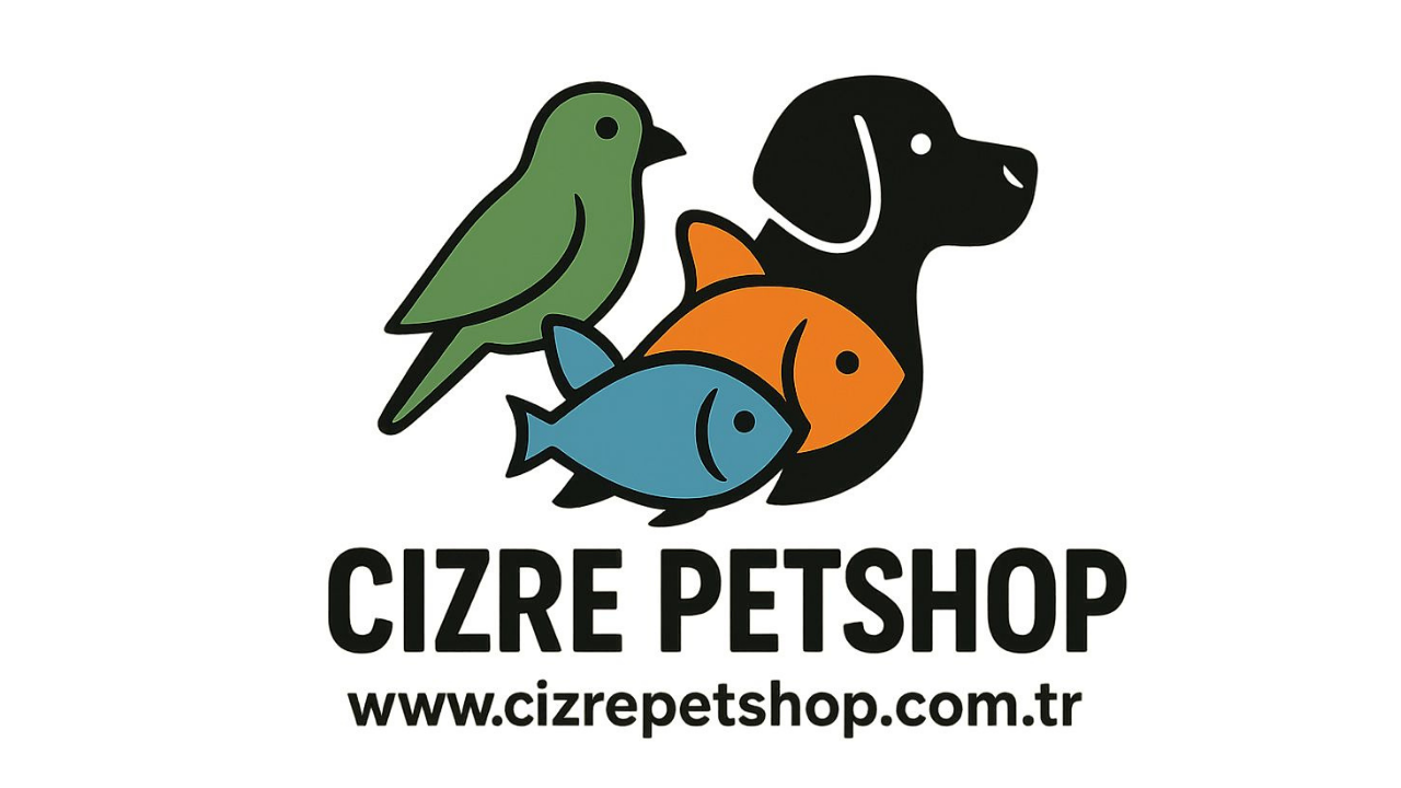 Cizre Pet Shop: Bir Sevda Hikayesi, Bilişimden Hayvan Sevgisine Bir Yolculuk
