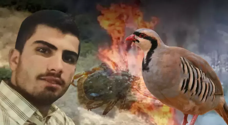 Yastıkta Kene Gördü, 120 Dönüm Araziyi Yaktı!