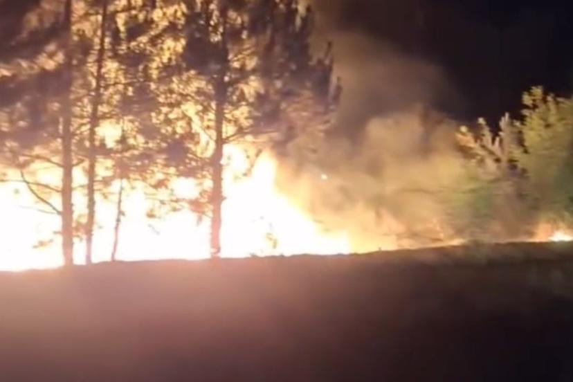 Bolu’da örtü yangını ormana sıçramadan söndürüldü