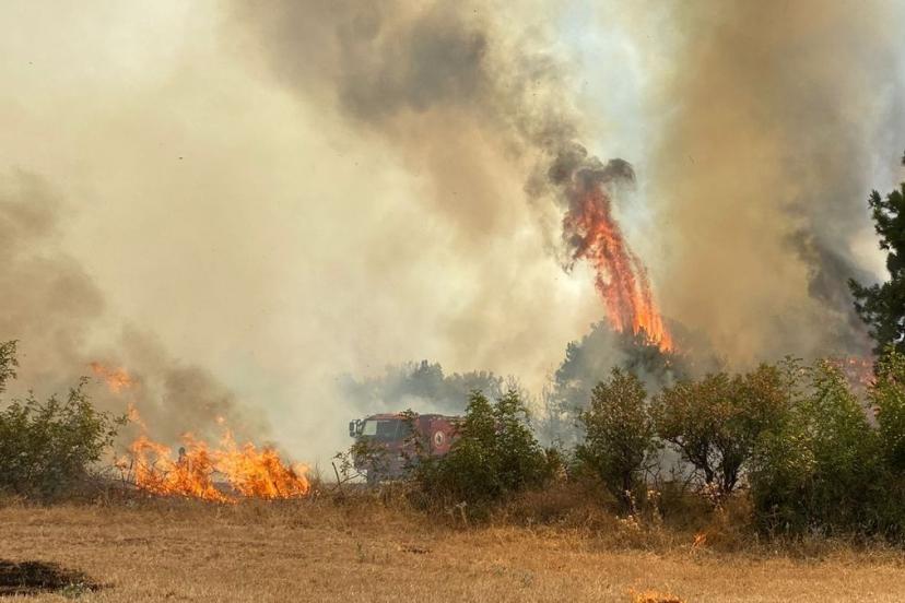Çanakkale’de orman yangını çıktı
