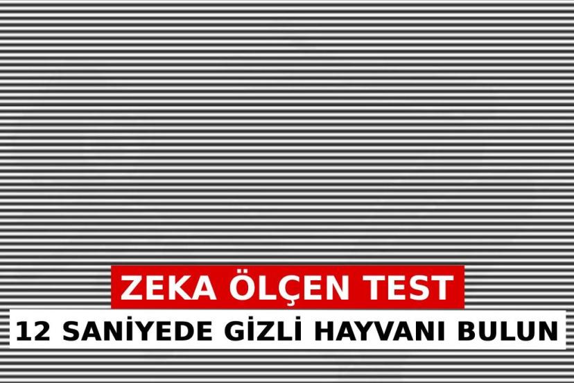 Dahi misin, sıradan mı? Bu görseldeki hayvanı herkes göremiyor