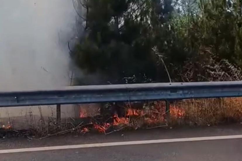 Düzce’de düğün konvoyunda yakılan meşale çamlık alanı yaktı