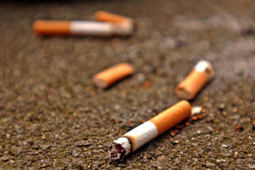 Edremit Belediyesi’nden Çevre Kirliliğine Karşı Sert Adım: Yere Çöp Atana Ceza Kesilecek