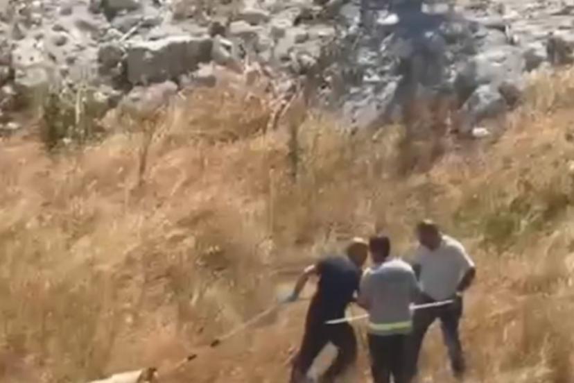 İstanbul Valiliği’nin ‘sokak köpeği’ genelgesi sonrası Esenyurt Belediyesi işe koyuldu