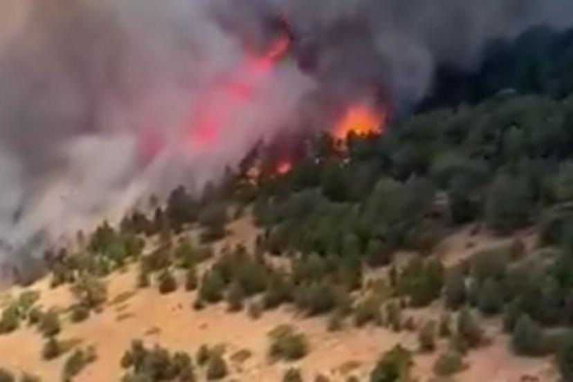Konya’daki orman yangını kontrol altına alındı