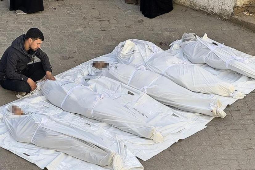 Masumları öldüren İsrail, Gazze’de eşekleri kurtarmakla övündü