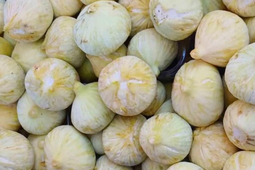 Sezonun beklenen hasadı bereketiyle geldi: Kilosu 200 TL