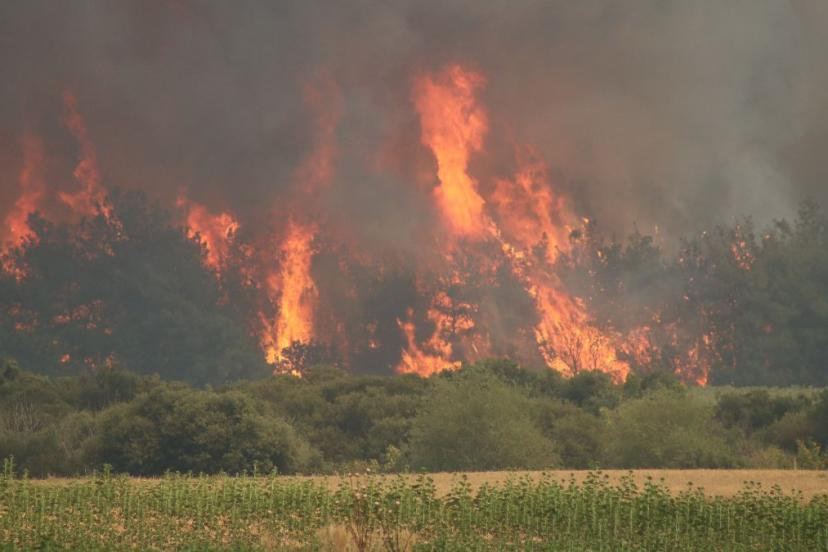 Tekirdağ’da başlayarak Çanakkale’ye ulaşan yangın, yeniden alevlendi