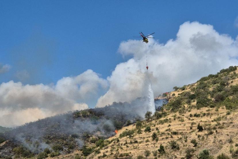 Tekirdağ’da makilik alanda yangın çıktı