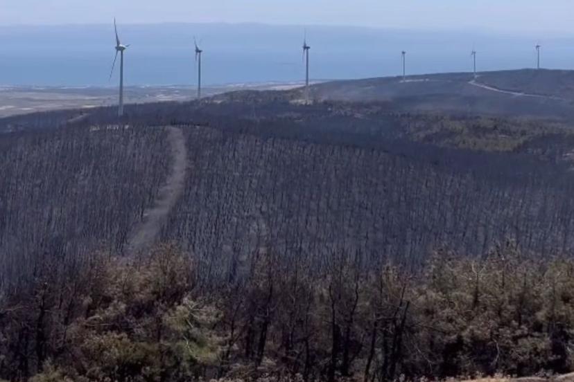 Tekirdağ’da orman yangını öncesi ve sonrası görüntüler yürek burktu