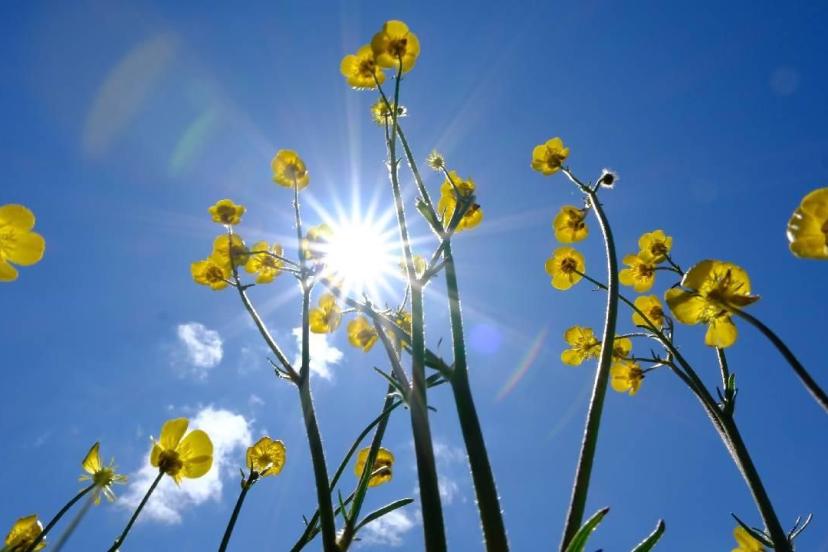 Türkiye’de temmuz kavurdu: Tüm zamanların rekoru kırıldı