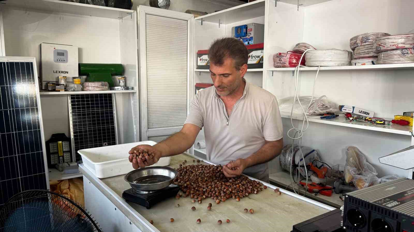 Alaplı’da Fındık Fiyatları Rekor Seviyeye Ulaştı